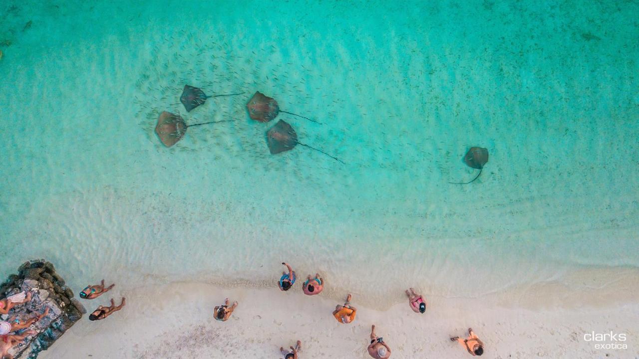 Swarn By Hawks Hotels Kamadhoo エクステリア 写真
